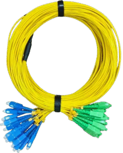 Fiber Optic Multifiber Trunk Cable Assemblies