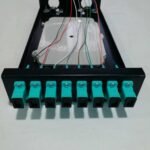 image-removebg-preview (5)