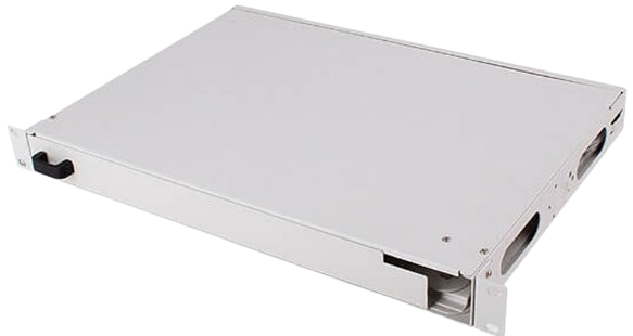 image-removebg-preview (1)