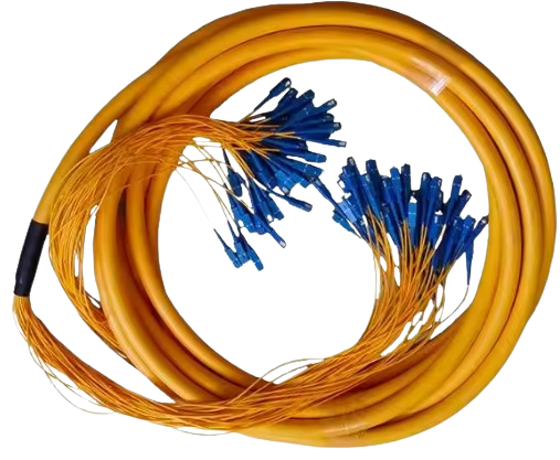 image-removebg-preview (18)