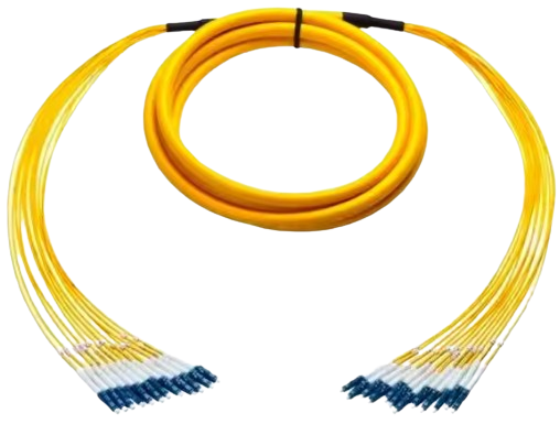 image-removebg-preview (19)