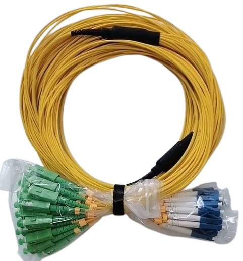 image-removebg-preview (21)