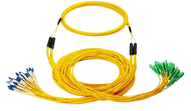 image-removebg-preview (22)