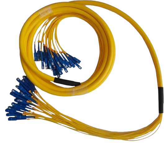 image-removebg-preview (24)